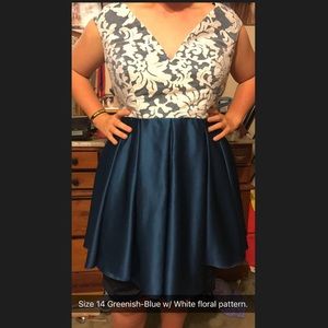 Size 14 Dress